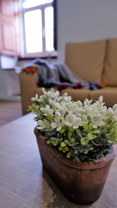 Apartment O Cantinho Do Colegio - Dourocollege