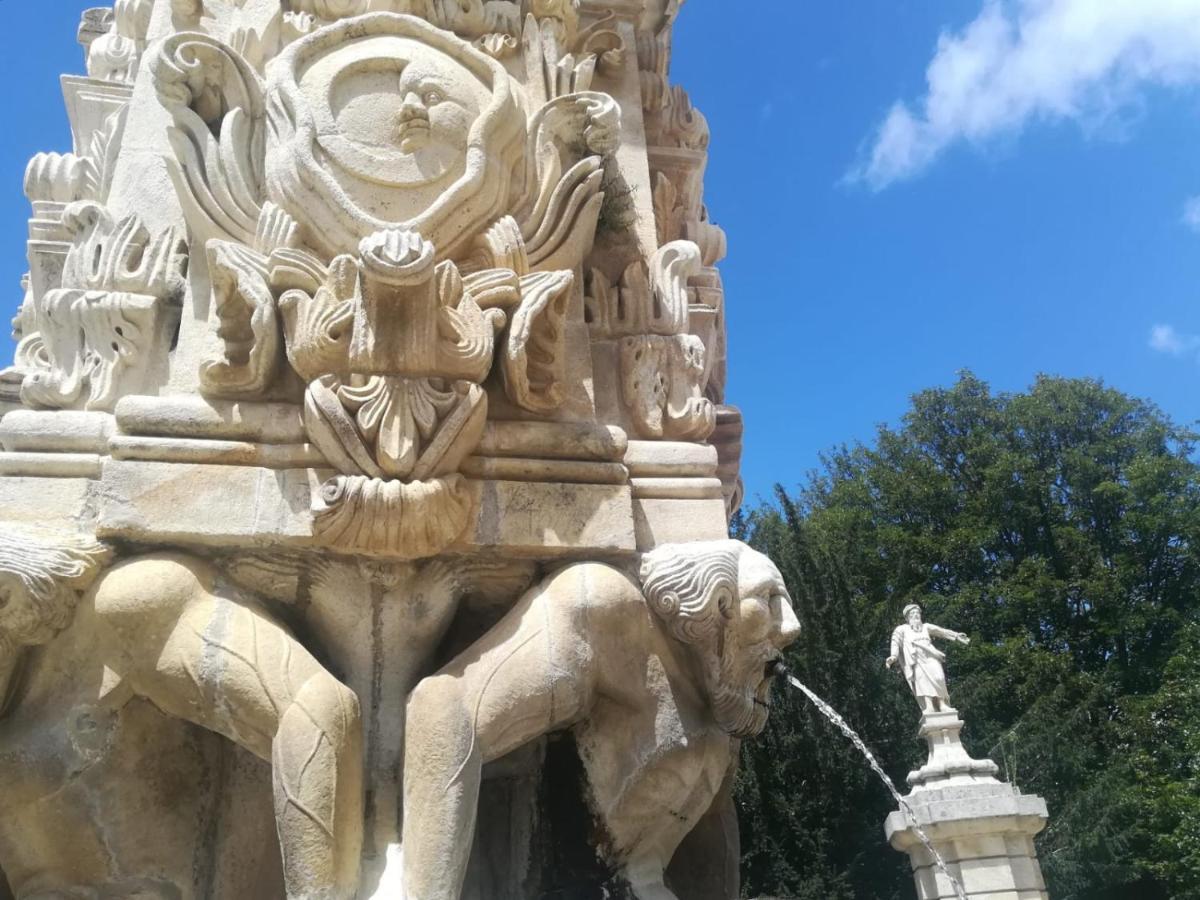 O Cantinho Do Colegio - Dourocollege Lamego